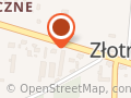 Zippedshoes