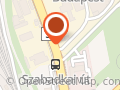 Álmennyezeti lapok