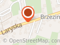 Pluto. Fryzjer, pielęgnacja zwierząt, groomerstwo. Bugaj K.