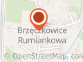 RADIO-TELOK SERWIS DARIUSZ WIOSKA