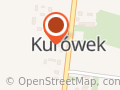 Firma Wiewiórowscy