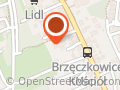 Fizjoterapia Mysłowice Justyna Ciechomska