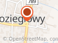 Świat Choinek - Koziegłowy
