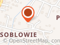 Pomoc Drogowa Żywiec i okolice 24h NESTA