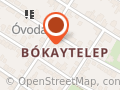 Bókay Árpád Általános Iskola
