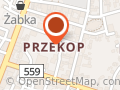 DREDZIK