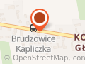 Hirudoterapia Naturalnie dla zdrowia -Pijawki lekarskie