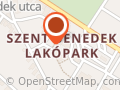ÉKSZERÉSZ , ÖTVÖS, ARANYMŰVES MESTER