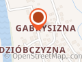 BLIŹNIAK JAROSŁAW Transport Ciężarowy