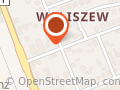 Wizet Transport. Transport Międzynarodowy i Krajowy. Wyktorscy Z.g.