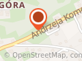 NIEWIADOMY ALEKSANDER FIRMA HANDLOWA
