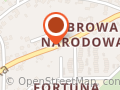 Intra-dor Usługi Celne Dorian Góralczyk