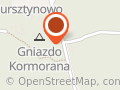 Gniazdo Kormorana