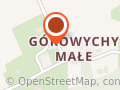 Autoklinika Górowychy