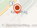 Virágsziget XVI.