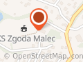 Zgoda. Ludowy Klub Sportowy