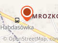 Awangarda-Bus Ewa Raczek