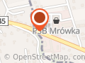 Mrówka Pewel Mała