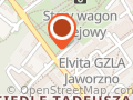 Wise Word - usługi lingwistyczne