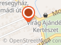 Árkád Optika-Fotó