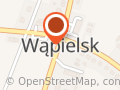 SZKOŁA PODSTAWOWA IM STANISŁWA STASZICA W WĄPIELSKU
