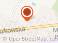 Mech Bogusława. Stacja Kontroli Pojazdów