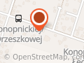 Tomeks. Ślepecki T.