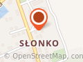 Sawko Tomasz. Firma transportowa