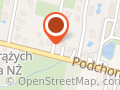 Fizjoterapia dzieci i młodzieży Patrycja Daniszewska