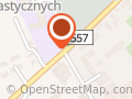 Cmentarz Ewangelicki w Rypinie