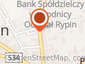 PZU Ubezpieczenia Rypin - Agent Anna Bilińska