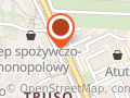 Jak Pies z Kotem