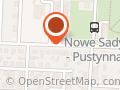 Hodowla Kotów Brytyjskich - Kosmyk Kotów *PL