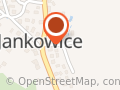 LKS Wisła Jankowice