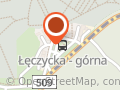 Złocień kwiaciarnia (stara Dębica)