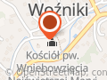 Kościół Wniebowzięcia NMP w Woźnikach