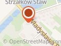 Parafia Nawiedzenia NMP w Strzałkowie