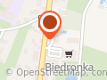 Biedronka