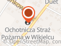 Samorządowa Szkoła Podstawowa W Wikielcu