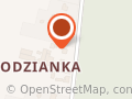 Capsella. Produkcja nasadek termokurczliwych