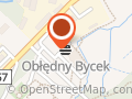 Obłędny Bycek