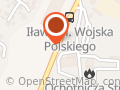 Wis. S.j. Transport Krajowy i Międzynarodowy. Dzik W.s.