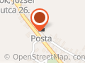 Palyaga Lajosné virágkereskedő