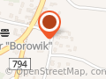 FIRMA HANDLOWO USŁUGOWA BOROWIK