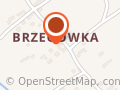 Wypożyczalnia samochodów Tomasz Omylak