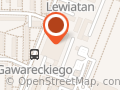 Lewica Płock