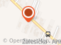 Transport Towarowy Włodzimierz Szczepaski