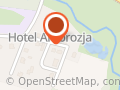 Kopyciński Sławomir. Elektronika Pojazdowa