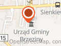 GMINA BRZEZINY