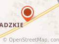 TRANSPORT SAMOCHODOWY Lucyna Kłęk